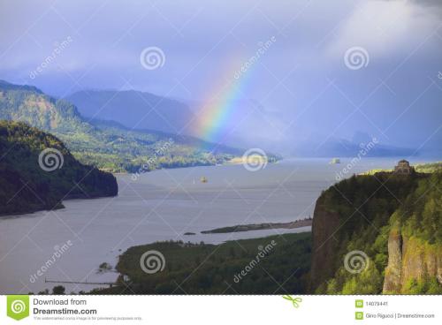 哥伦比亚彩虹蟒图片