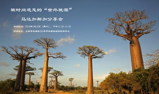 马达加斯加树蚺图片