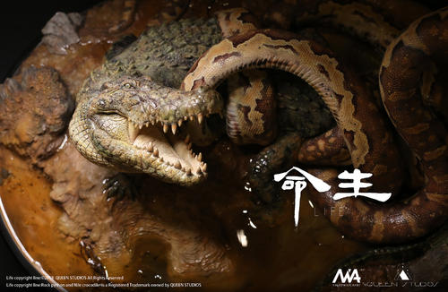 斯氏星蟒图片