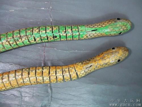 中华斜鳞蛇亚种图片